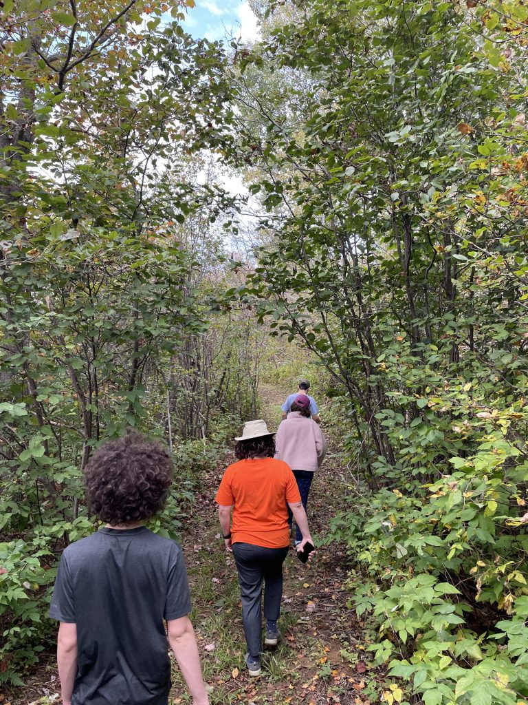 Line of people walking down a forest trail.